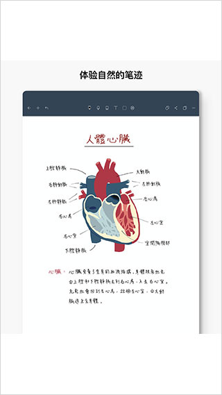 Noteshelf中文版