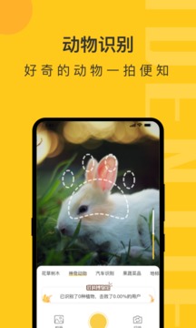 智能扫一扫智慧识物