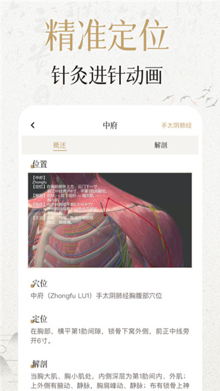中济经络穴位App