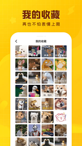 闪萌表情APP