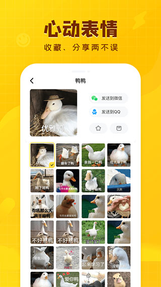 闪萌表情APP