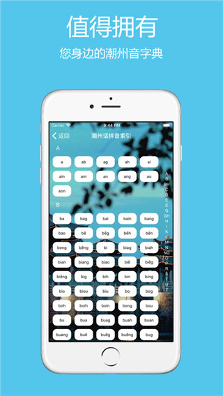 潮州音字典app