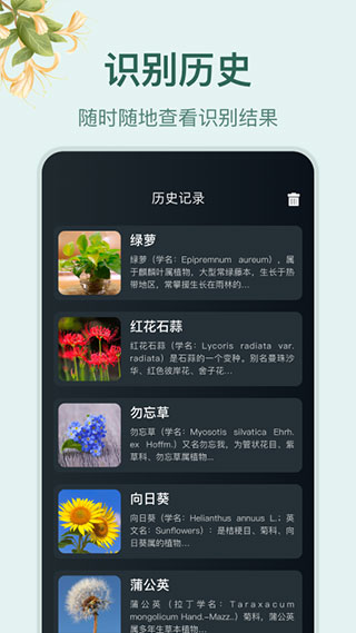 小园丁识别植物软件