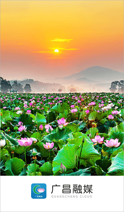 广昌融媒app