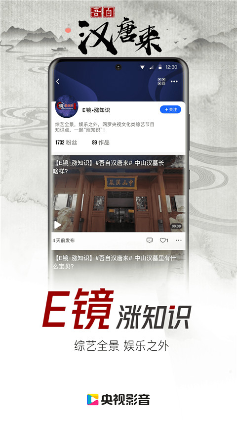 央视网App