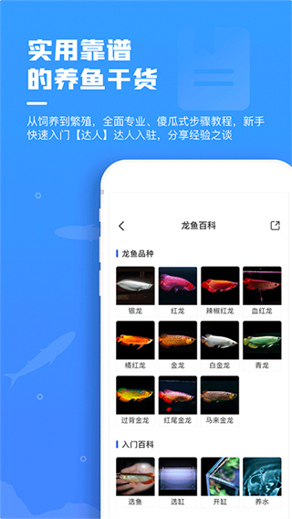 鲲天下鱼友交流社区
