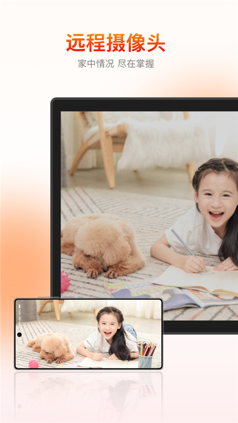 向日葵被控端手机版