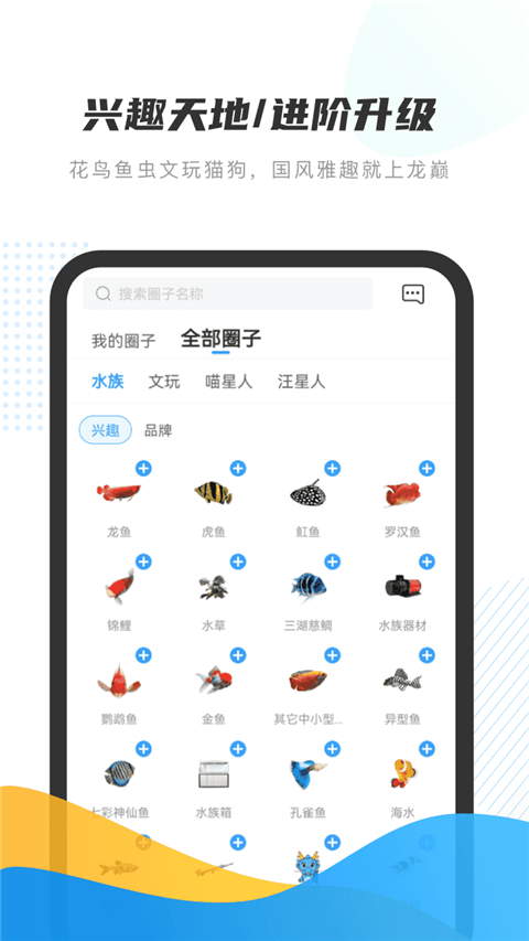 龙巅app