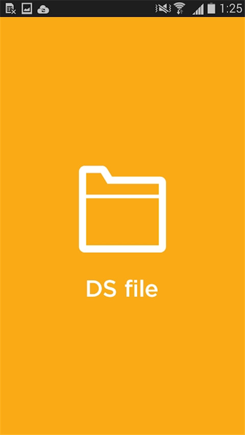 ds file