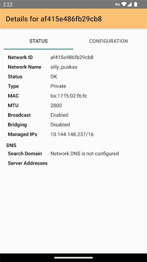 Zerotier One手机版