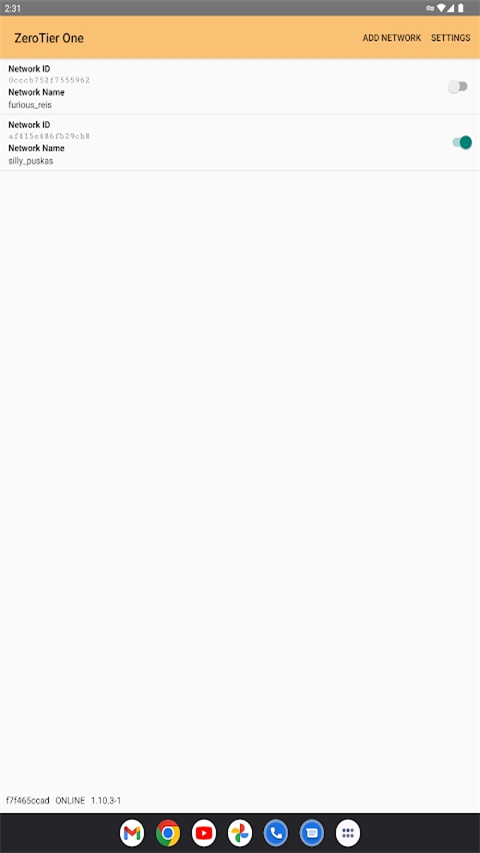 Zerotier One手机版