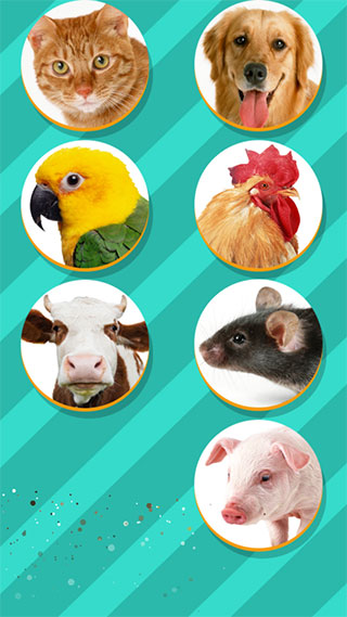 Pet Translator正版