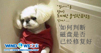 判断磁盘是否已经修复好