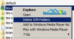 技术员联盟Win7旗舰版系统下怎么删除批量svn文件