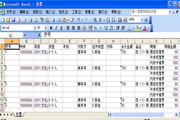 嘉嘉发票模板转换易