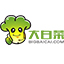 大白菜u盘装系统工具下载