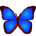bkviewer