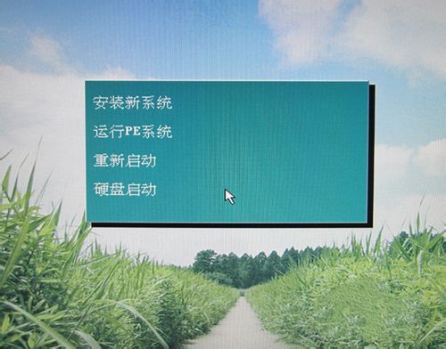 用光盘启动设置图文详解(11)