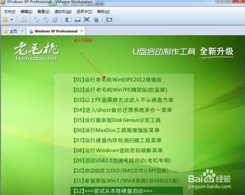 vmware12U盘装系统教程图解(15)