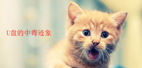 win7电脑中U盘中毒的表现有哪些？