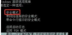 如何解决win7新萝卜家园系统进入安全模式杀毒会死机问题