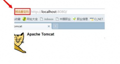 风林火山win7系统中解决win7系统网页打开出现域名重定向的办法